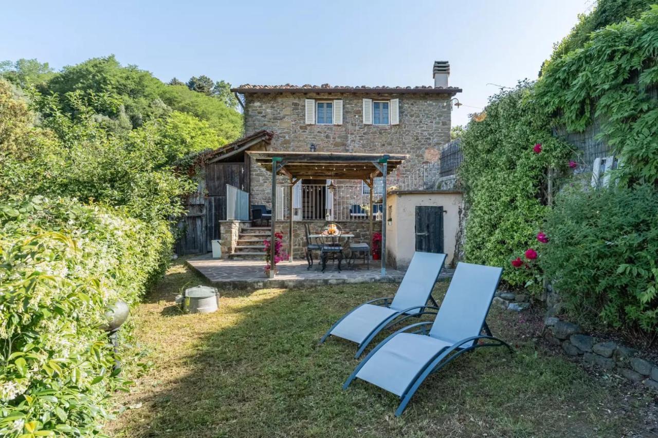 Casa Di Laino * Lucca